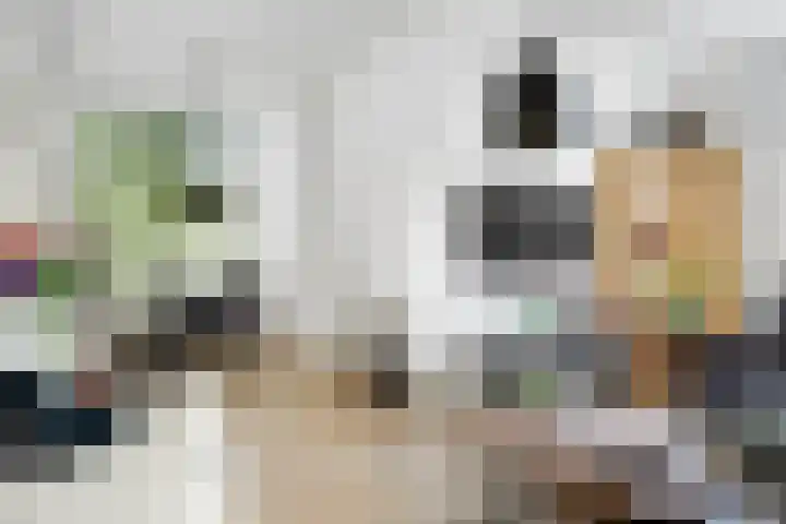 Mensinkweg 100 Nijverdal thumbnail 4
