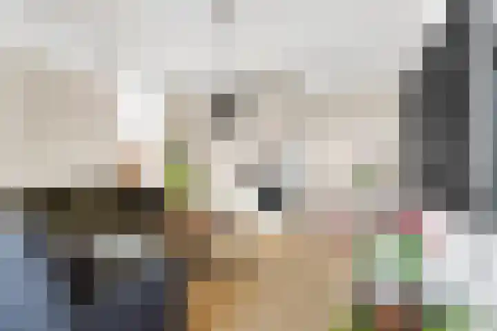 Mensinkweg 100 Nijverdal thumbnail 6