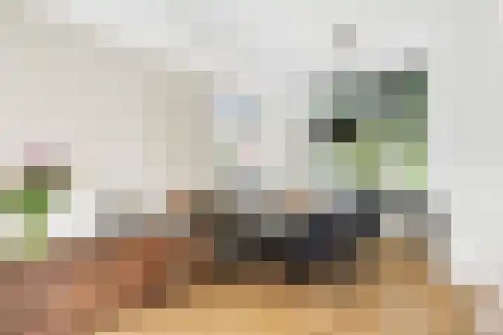 Mensinkweg 100 Nijverdal thumbnail 8