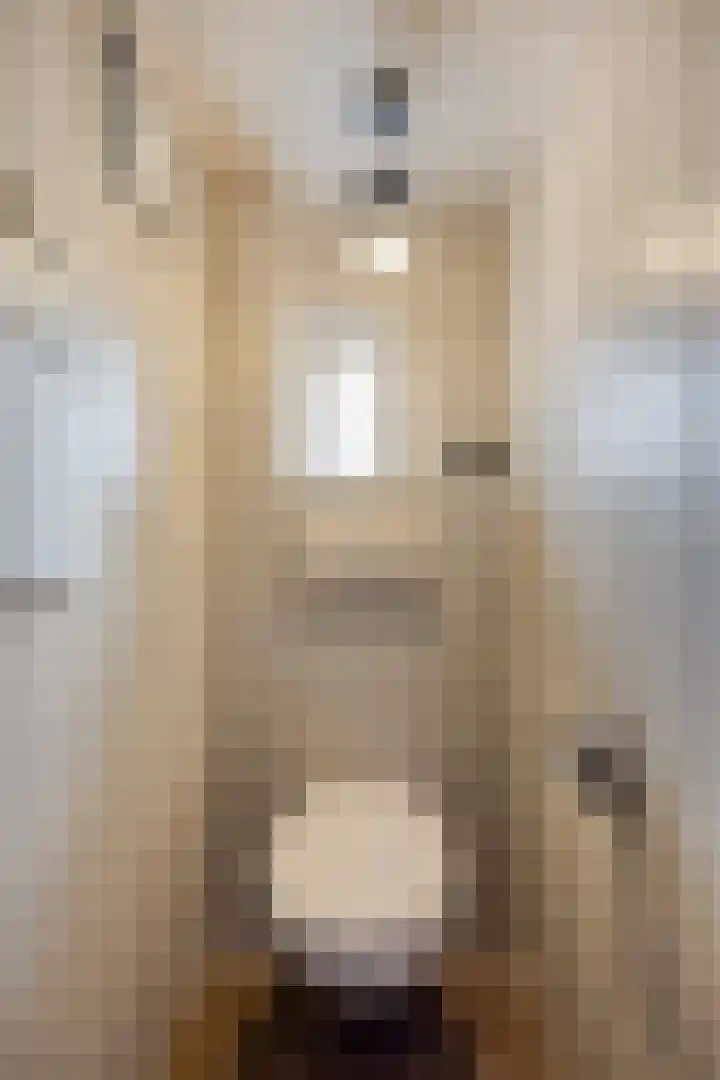 Mensinkweg 13 Nijverdal thumbnail 15