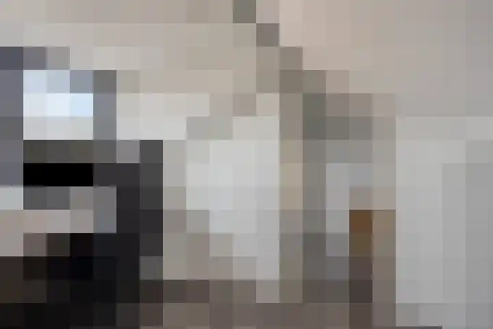 Mensinkweg 13 Nijverdal thumbnail 26
