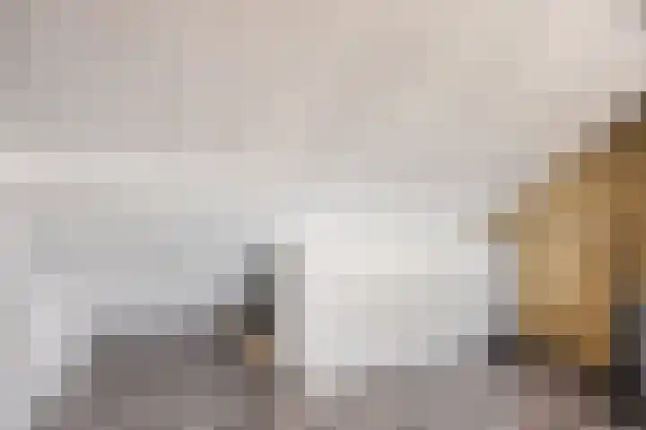Mensinkweg 13 Nijverdal thumbnail 28