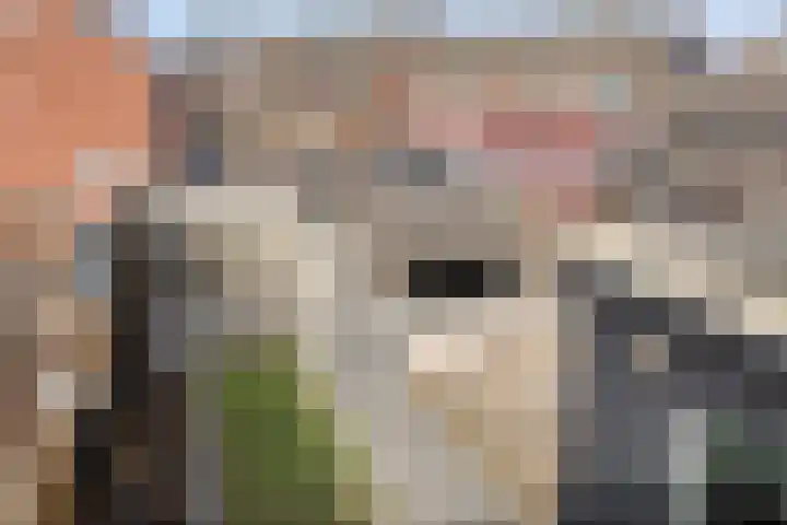 Mensinkweg 13 Nijverdal thumbnail 30