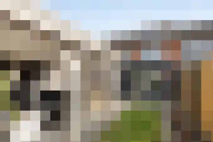 Mensinkweg 13 Nijverdal thumbnail 33