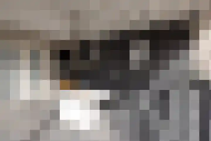 Mensinkweg 13 Nijverdal thumbnail 34