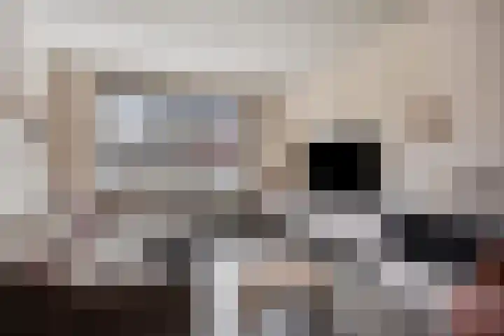 Mensinkweg 13 Nijverdal thumbnail 6
