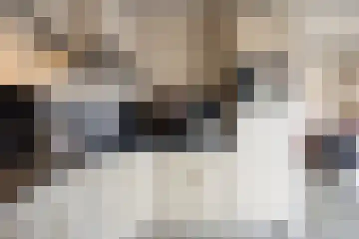 Mensinkweg 13 Nijverdal thumbnail 9