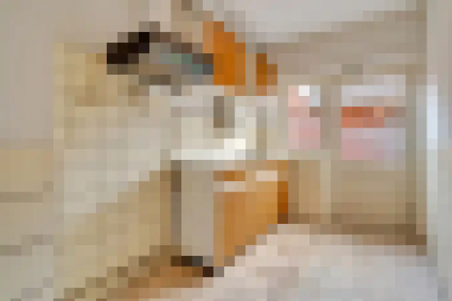 Mensinkweg 70 Nijverdal thumbnail 7