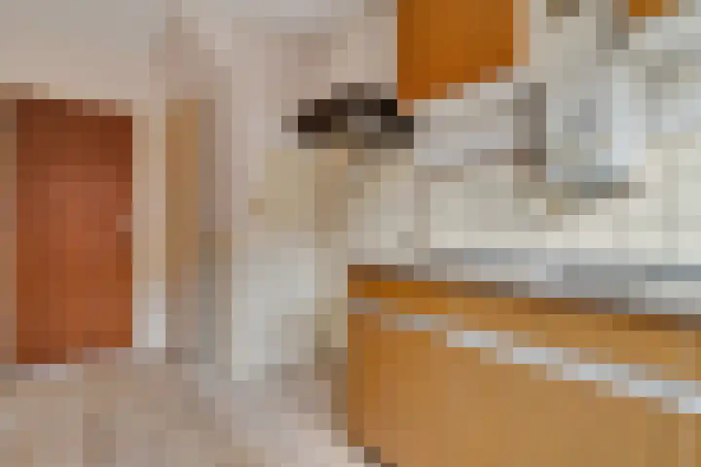 Mensinkweg 70 Nijverdal thumbnail 8