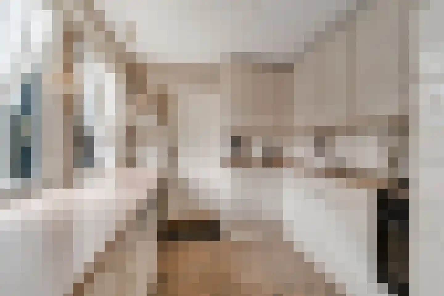 Mensinkweg 79 Nijverdal thumbnail 11