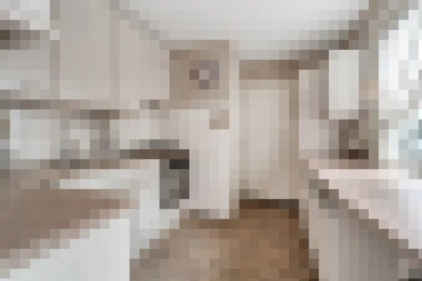 Mensinkweg 79 Nijverdal thumbnail 12