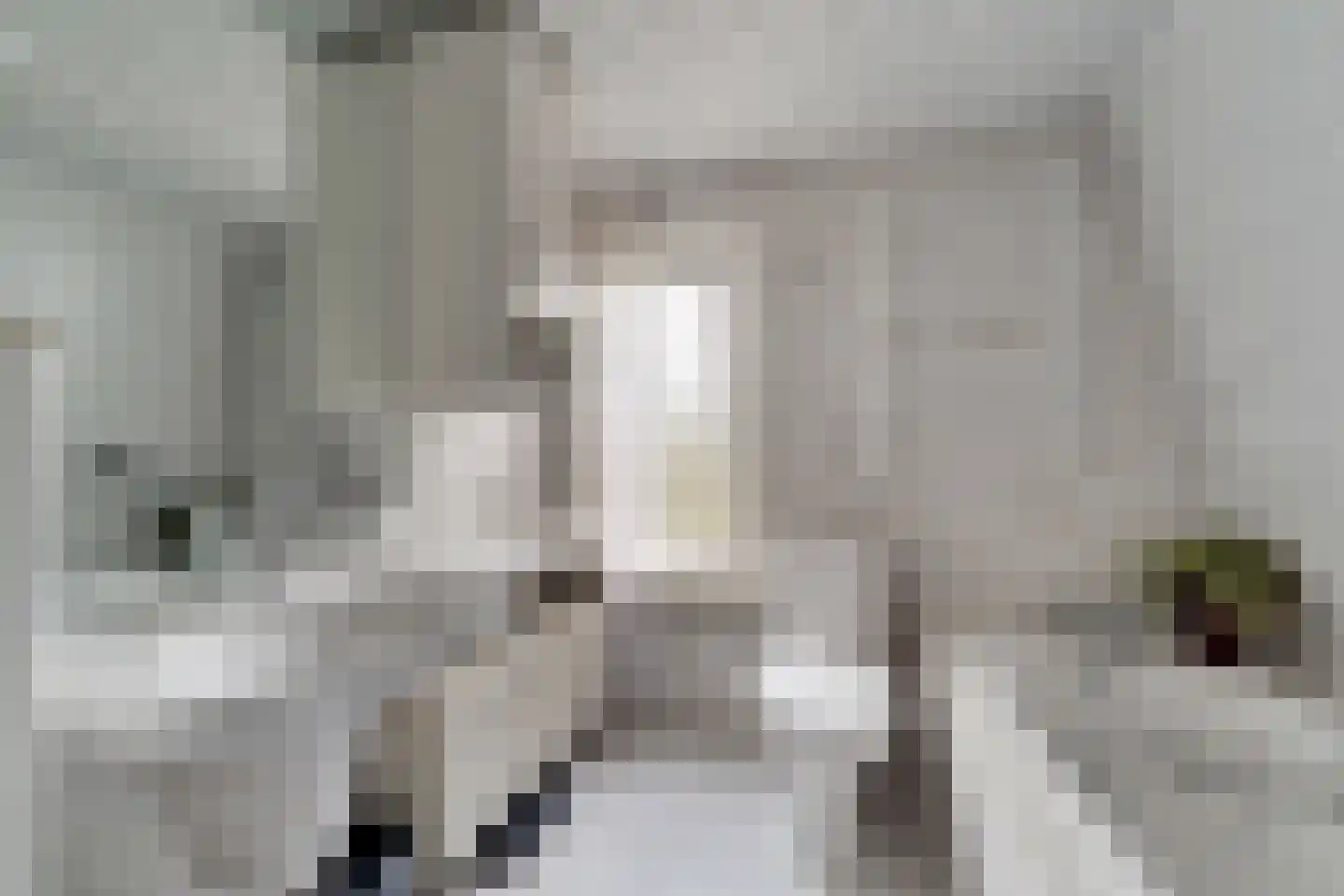Mensinkweg 79 Nijverdal thumbnail 16