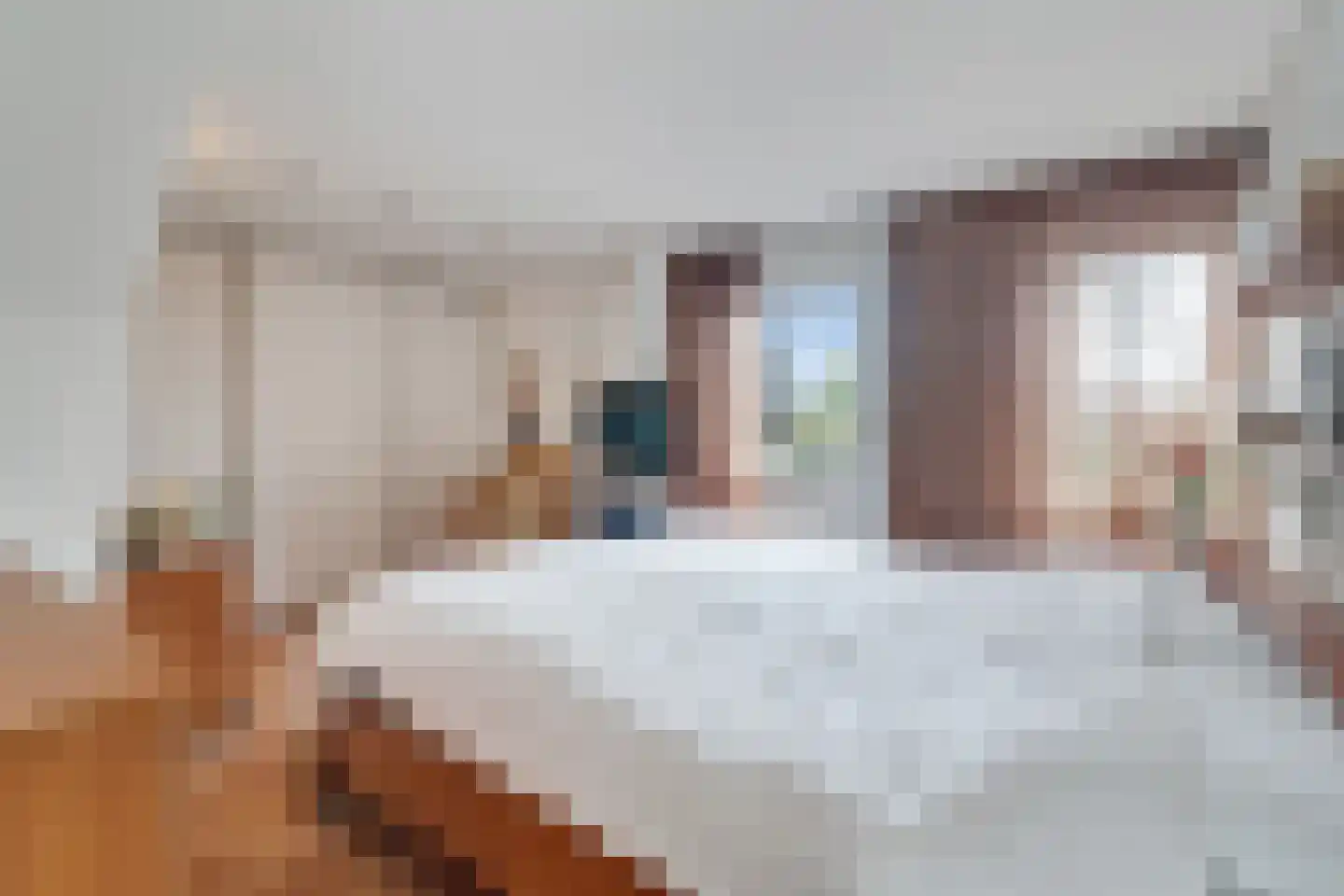 Mensinkweg 79 Nijverdal thumbnail 19