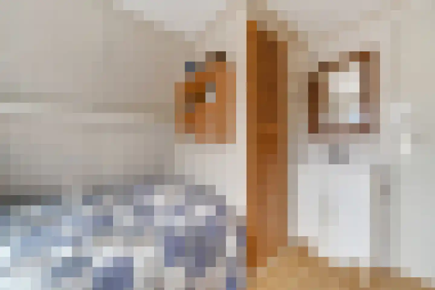 Mensinkweg 79 Nijverdal thumbnail 23