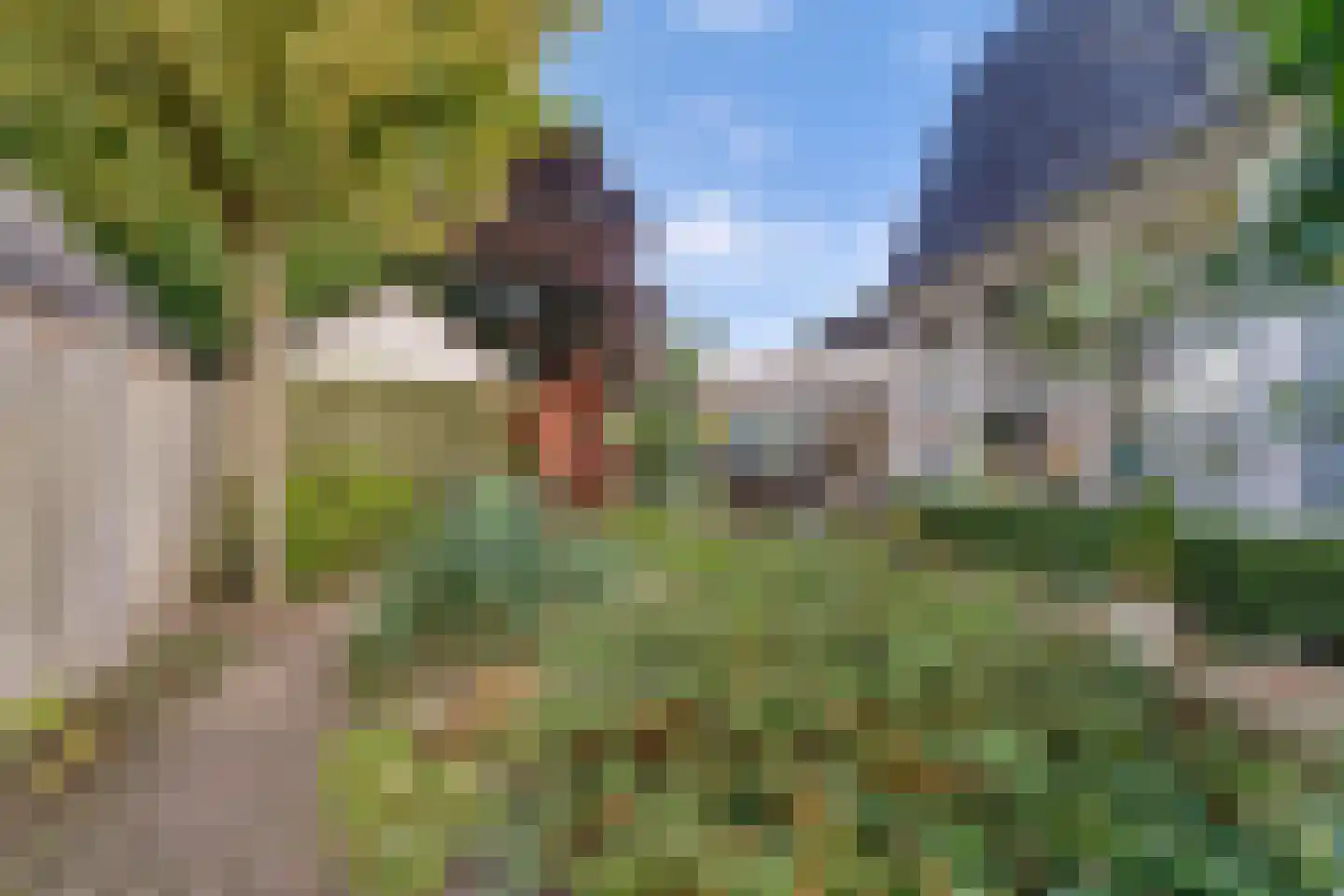 Mensinkweg 79 Nijverdal thumbnail 25