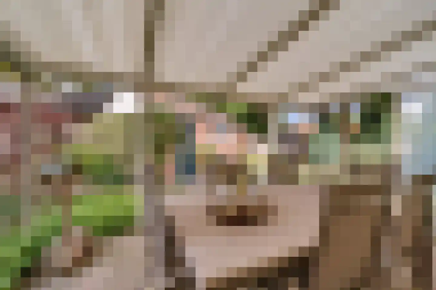 Mensinkweg 79 Nijverdal thumbnail 28