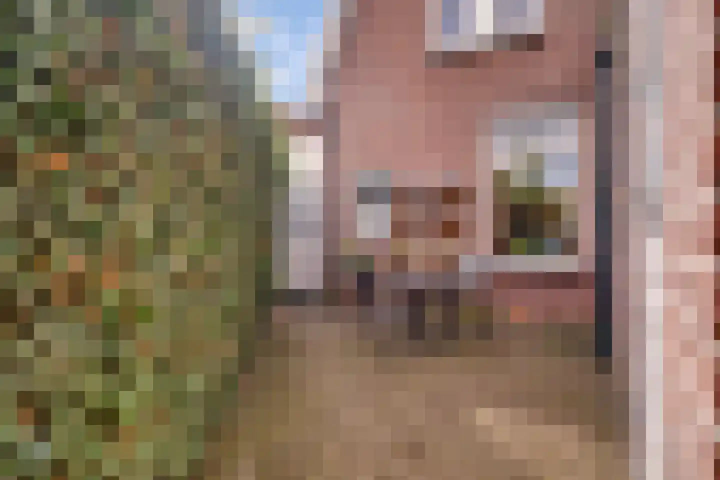Mensinkweg 79 Nijverdal thumbnail 32