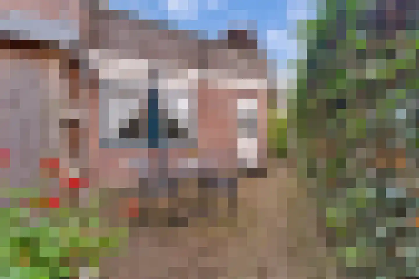 Mensinkweg 79 Nijverdal thumbnail 33