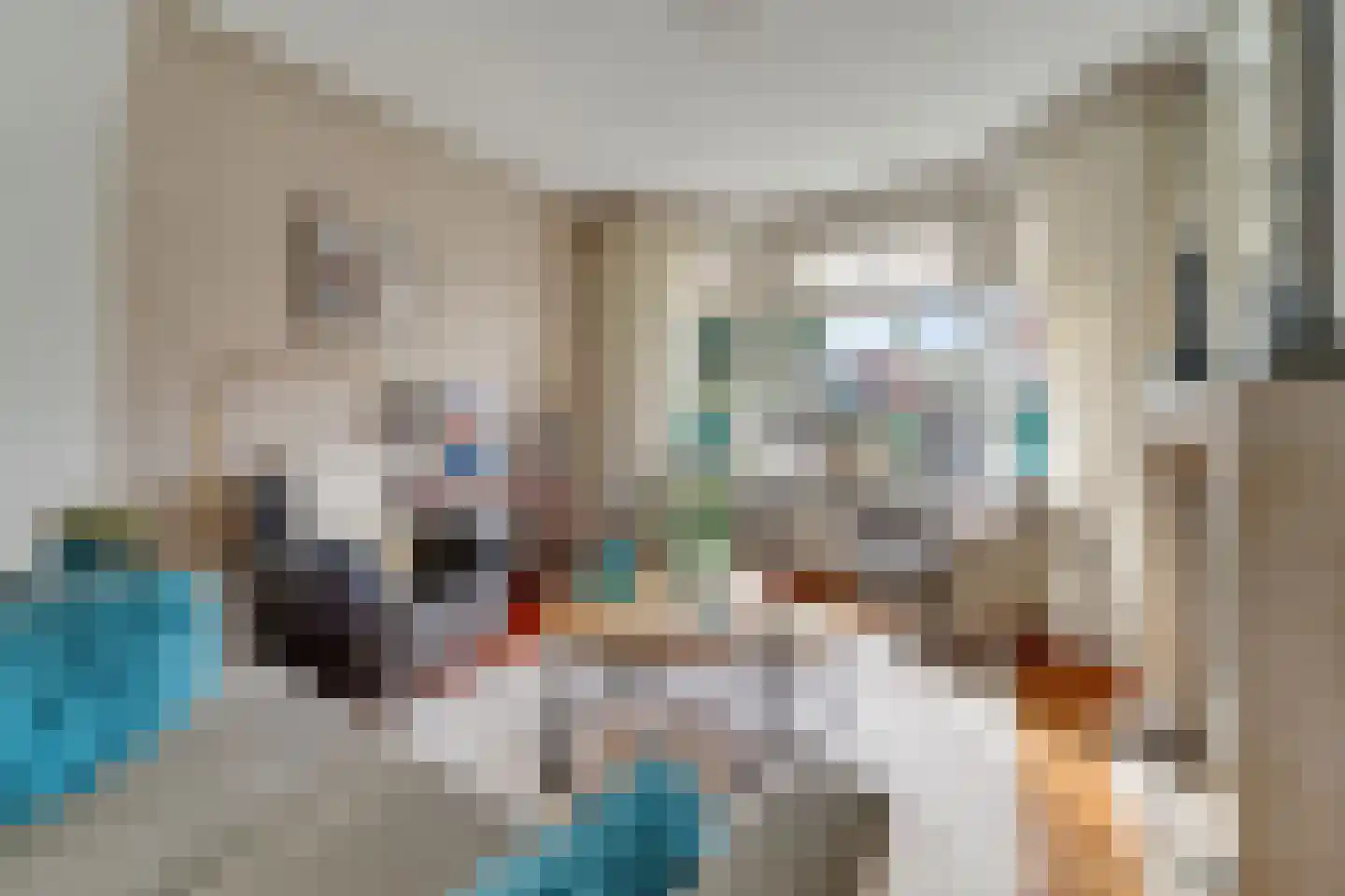 Mensinkweg 79 Nijverdal thumbnail 4