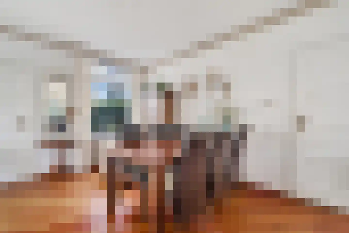 Mensinkweg 79 Nijverdal thumbnail 8