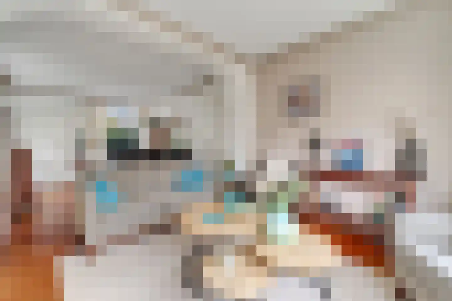 Mensinkweg 79 Nijverdal thumbnail 9