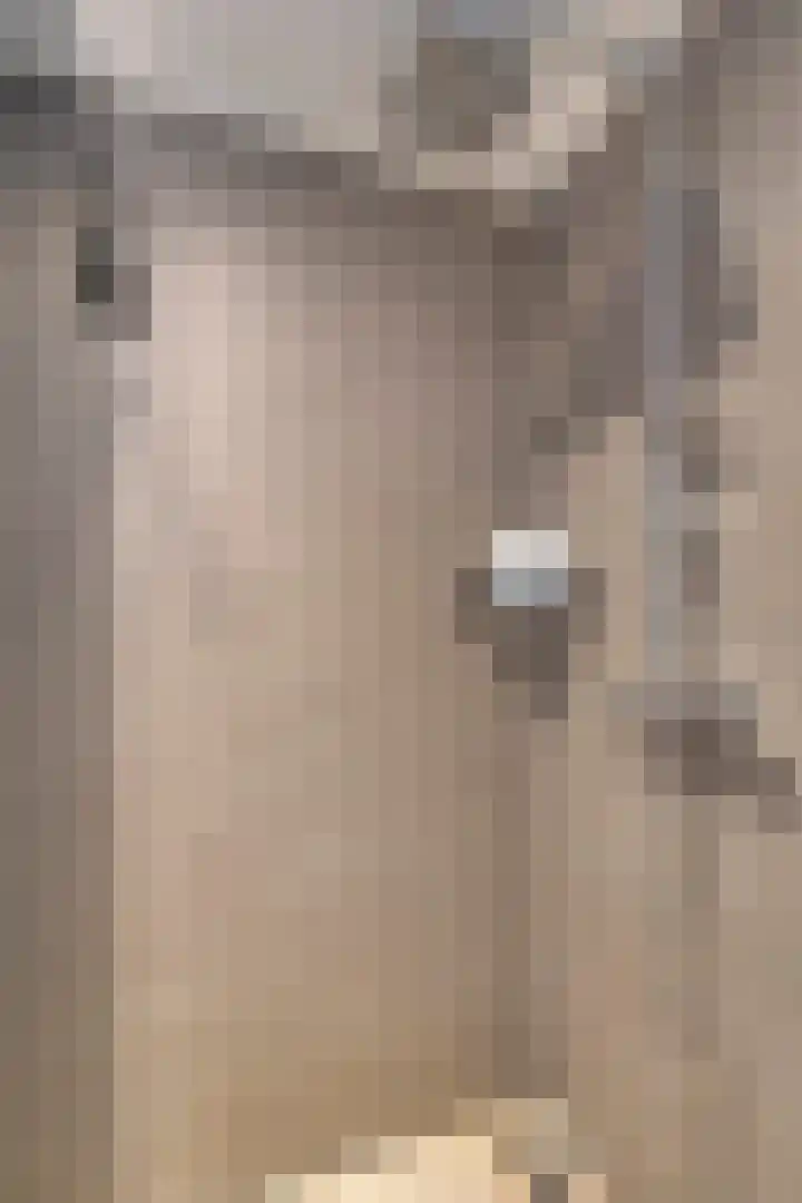 Mensinkweg 96 Nijverdal thumbnail 15