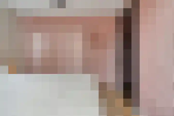 Mensinkweg 96 Nijverdal thumbnail 24