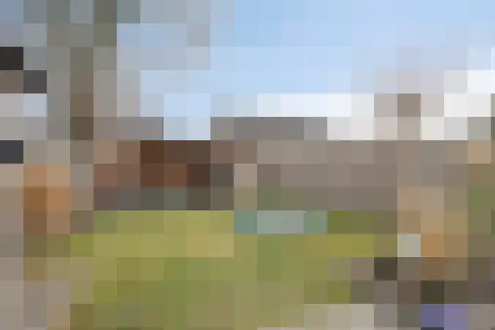 Mensinkweg 96 Nijverdal thumbnail 29