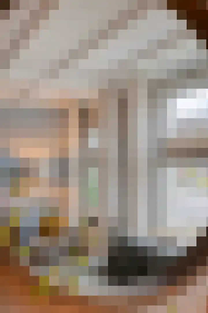 Mensinkweg 96 Nijverdal thumbnail 6