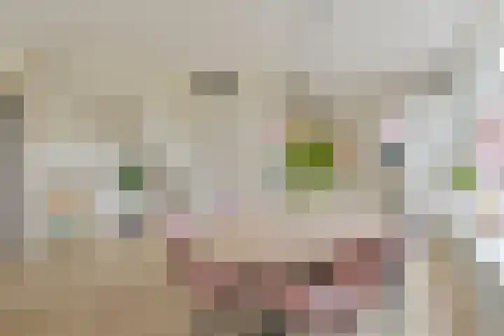 Menso Altinghof 1 Hoogeveen thumbnail 11