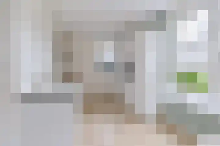 Menso Altinghof 1 Hoogeveen thumbnail 13