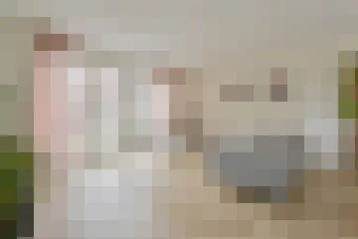 Menso Altinghof 1 Hoogeveen thumbnail 21