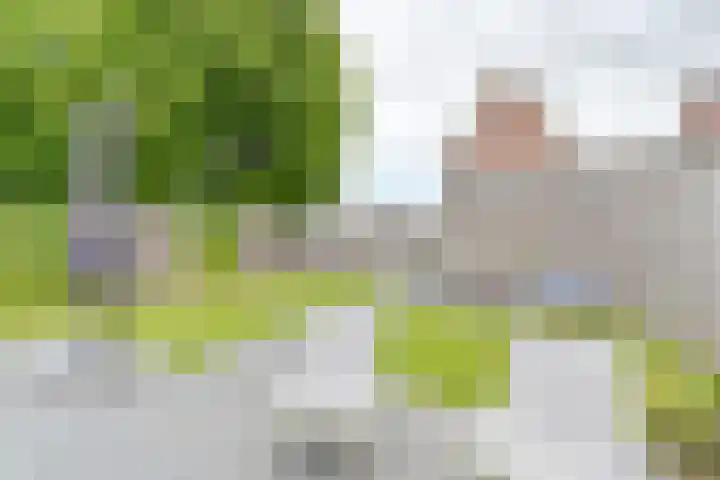Menso Altinghof 1 Hoogeveen thumbnail 57