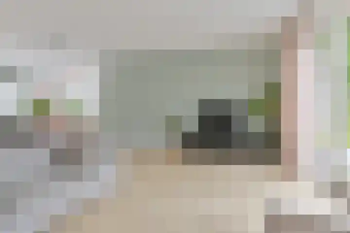 Menso Altinghof 1 Hoogeveen thumbnail 6