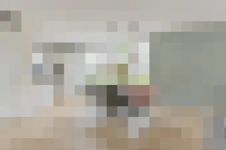 Menso Altinghof 1 Hoogeveen thumbnail 7