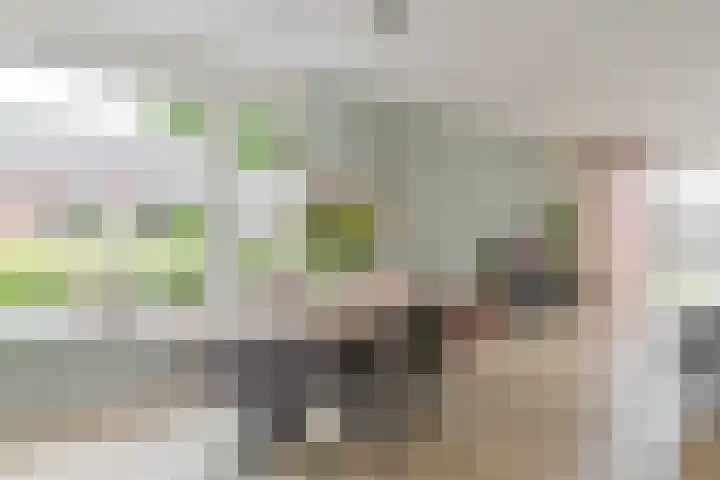 Menso Altinghof 1 Hoogeveen thumbnail 8
