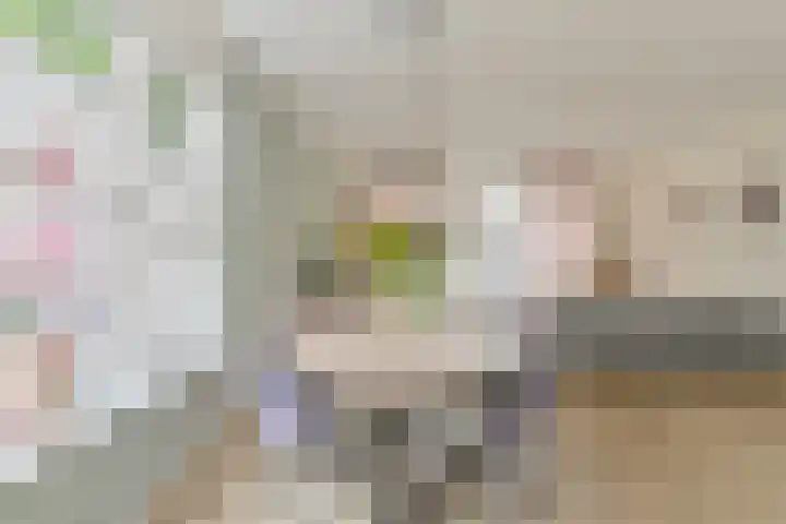 Menso Altinghof 1 Hoogeveen thumbnail 9