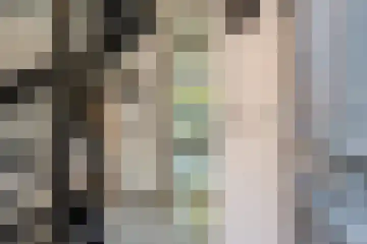 Menso Altinghof 10 Hoogeveen thumbnail 11