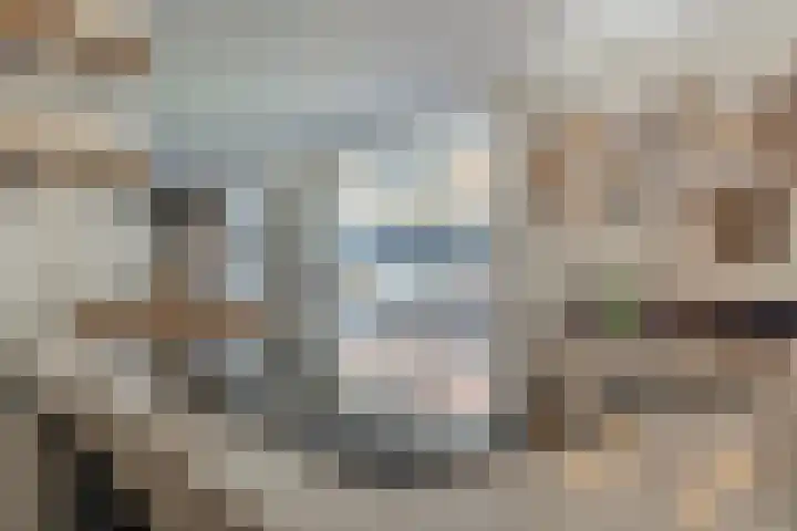 Menso Altinghof 10 Hoogeveen thumbnail 26