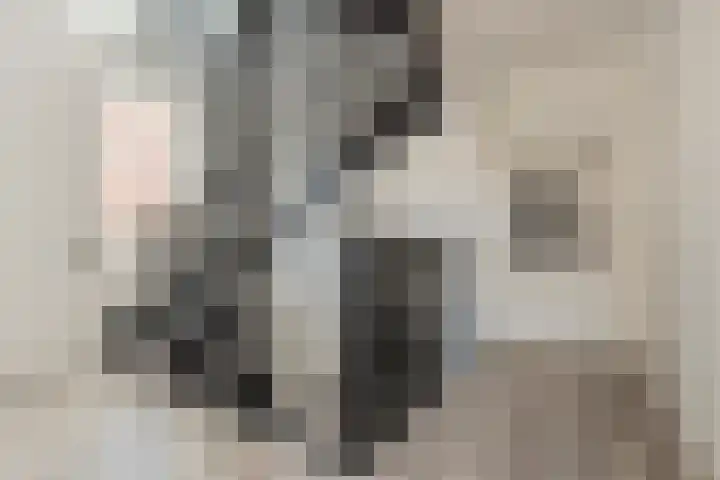 Menso Altinghof 10 Hoogeveen thumbnail 31