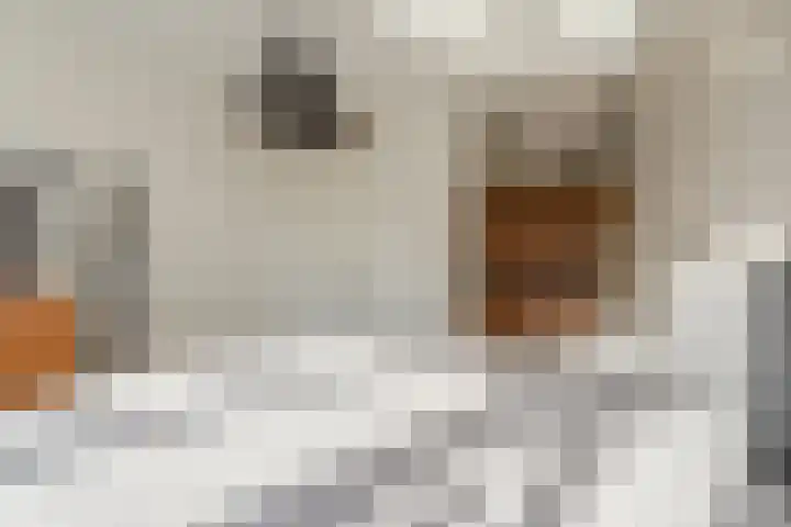 Menso Altinghof 10 Hoogeveen thumbnail 34