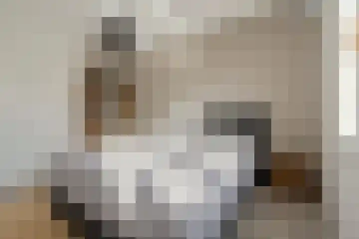 Menso Altinghof 10 Hoogeveen thumbnail 35