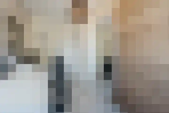 Menso Altinghof 10 Hoogeveen thumbnail 42