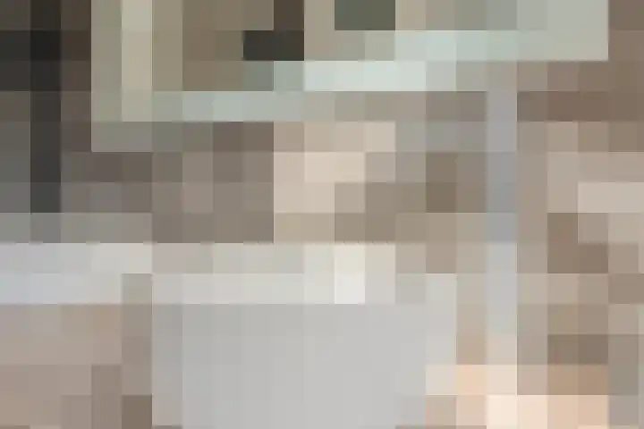 Menso Altinghof 10 Hoogeveen thumbnail 44