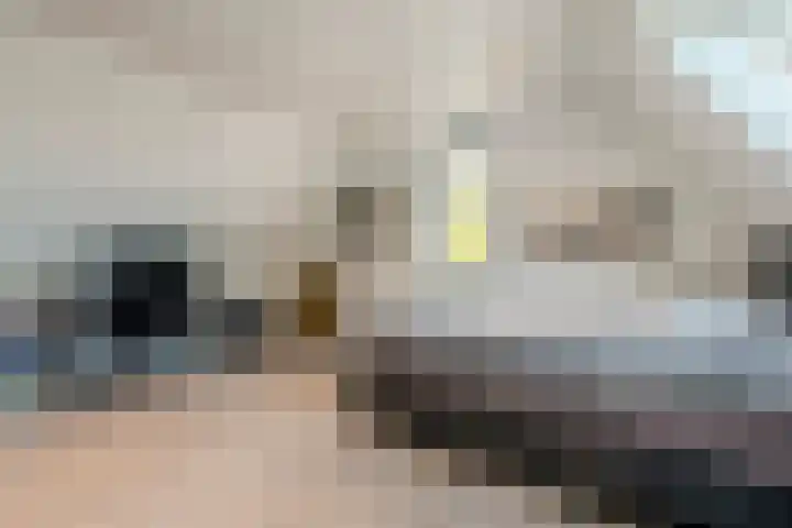 Menso Altinghof 10 Hoogeveen thumbnail 54