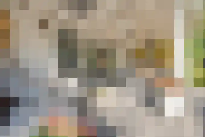 Menso Altinghof 10 Hoogeveen thumbnail 61
