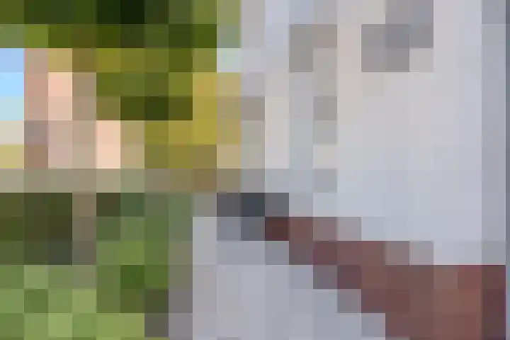 Menso Altinghof 10 Hoogeveen thumbnail 66