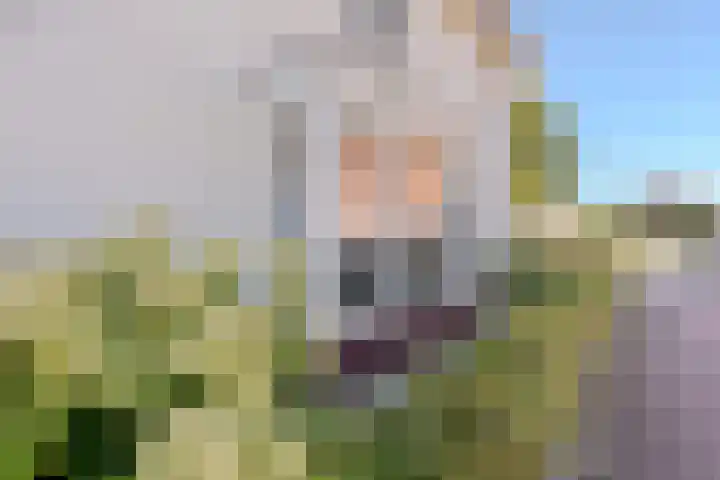 Menso Altinghof 10 Hoogeveen thumbnail 68