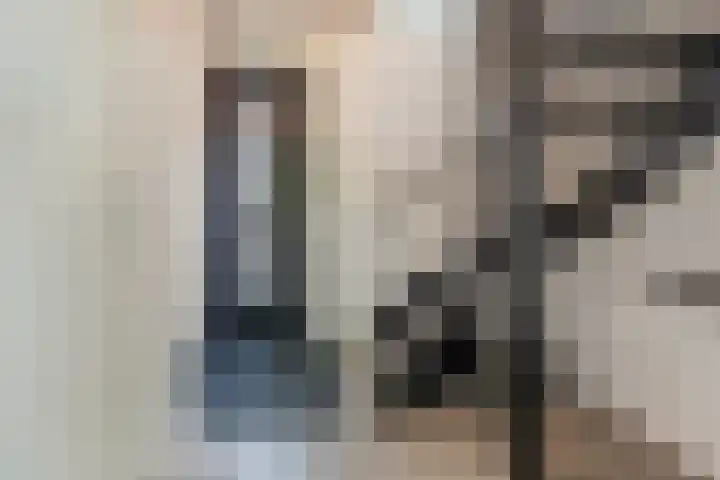 Menso Altinghof 10 Hoogeveen thumbnail 9