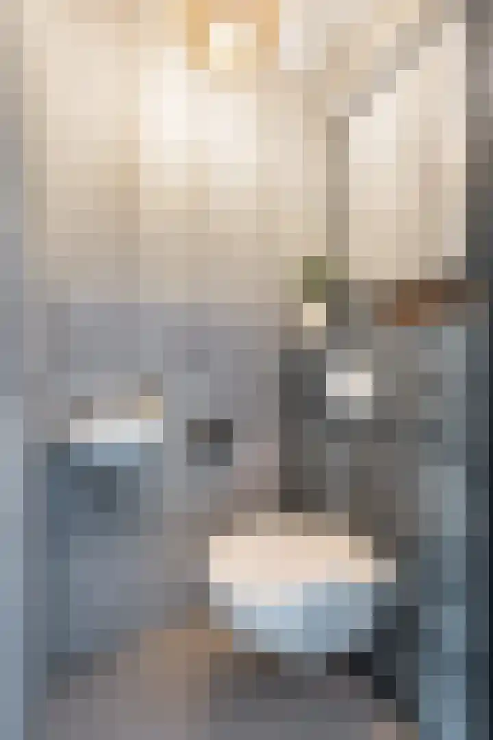 Menso Altinghof 18 Hoogeveen thumbnail 14